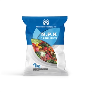 کود کامل فسفر بالا NPK - 10-52-10 + TE پودری 1 کیلویی